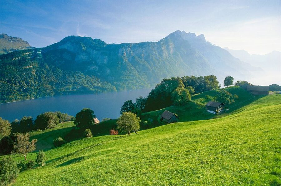 From Zurich: Bus Day Trip to Heidiland and Liechtenstein - Key points at a glance