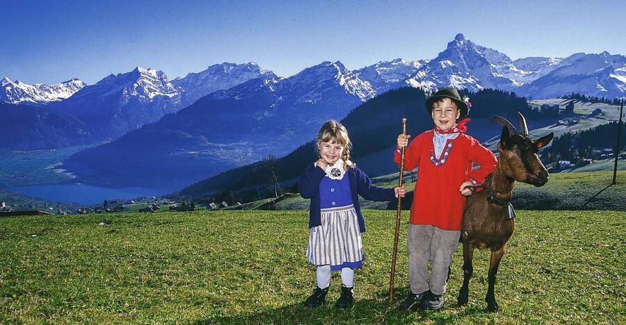 From Zurich: Bus Day Trip to Heidiland and Liechtenstein - Ricken Pass and Toggenburg: the scenic heart of the route