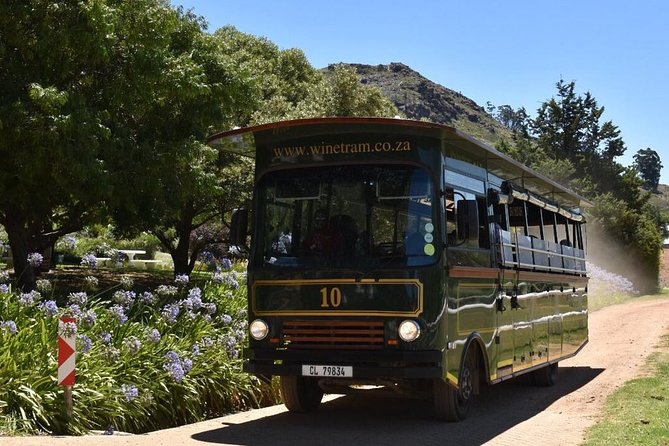 Full-Day Franschhoek Hop On Hop Off Wine Tram Tour from Cape Town - Who should book this tour?