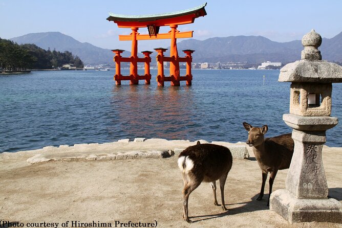 Full Day Hiroshima and Miyajima Bus Tour from Hiroshima - Is the $152.54 Price Worth It?