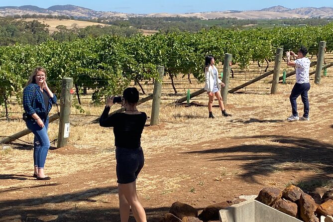 Full-Day Private Barossa Valley Wine Bus Tour - Who will enjoy this private day most