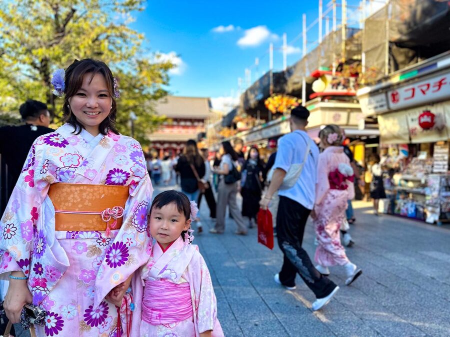 Full Tokyo: Meiji Shrine, Imperial Palace, Asakusa & Skytree - Akihabara from the road