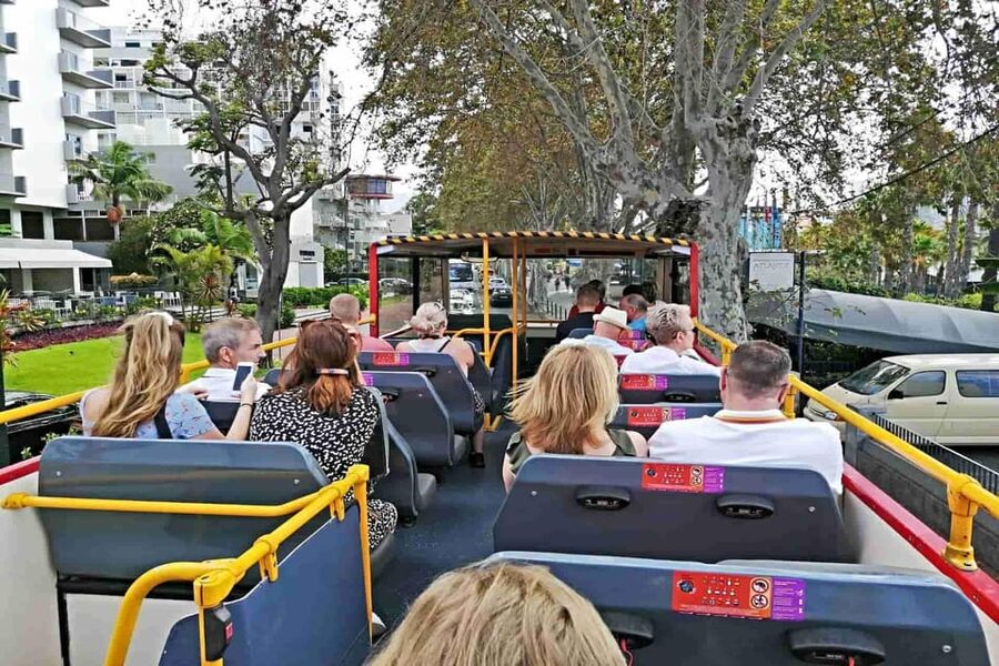 Funchal: City Sightseeing Hop-On Hop-Off Bus Tour - Walking tours, evening views, and Madeira wine
