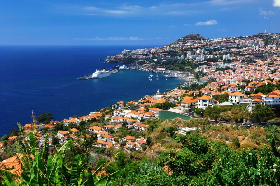 Funchal: Hop-On Hop-Off Bus Tour - Why this bus is useful in Funchal