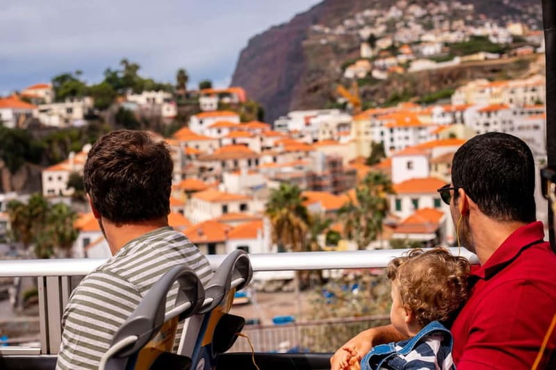 Funchal:Hop-on Hop-off Bus & Whale & Dolphin boat Excursion - Why this combination works in Funchal
