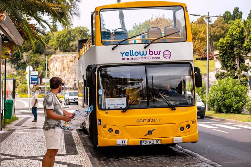 Funchal:Hop-on Hop-off Bus & Whale & Dolphin boat Excursion - Funchal’s central stops, from the city gates to the cathedral