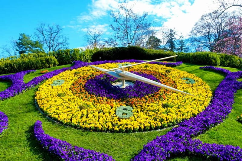 Geneva: Open-Top Sightseeing Bus Tour - Commentary, audio, and the human touch