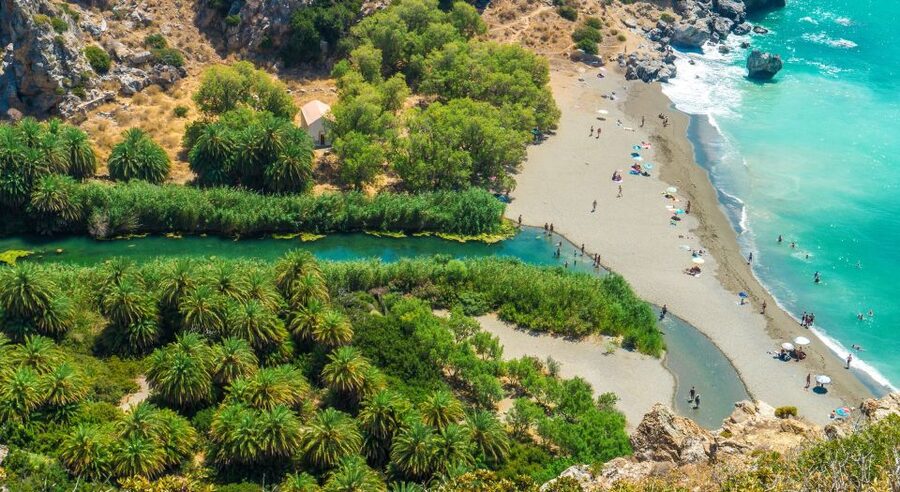 Georgioupolis: Preveli Palm Beach Day Trip by Bus and Boat - Two hours among the palms at Preveli