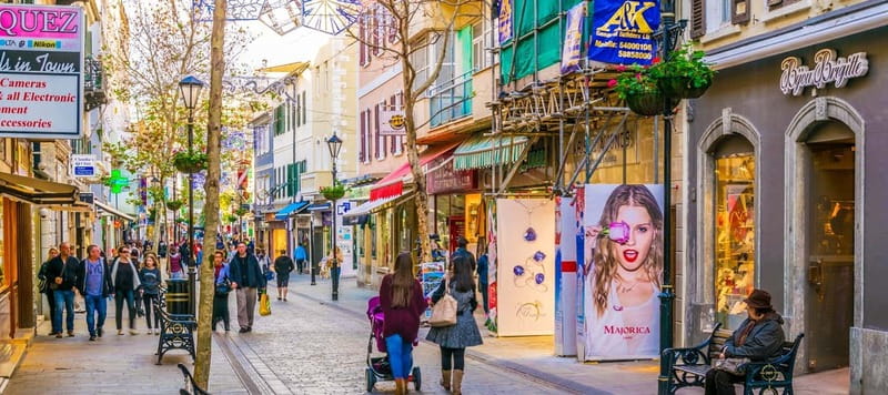 Gibraltar: Guided Tour by Bus Including Tickets - What this 90-minute Gibraltar tour actually covers