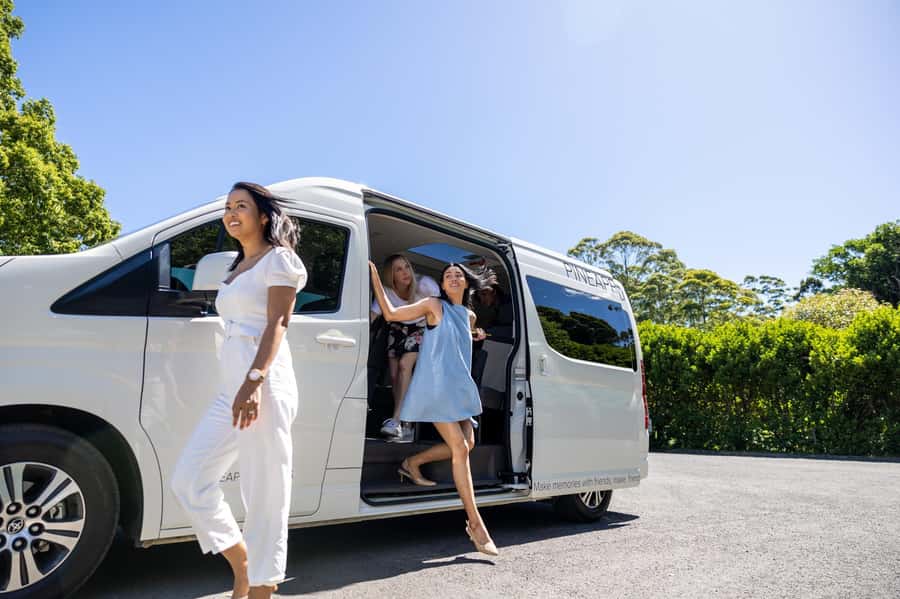 Gold Coast: Hop on Hop off Wine Tasting Tour to Mt Tamborine - Cedar Creek Estate starts the wine tasting