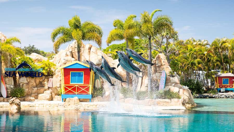 Gold Coast: Sightseeing Hop-on Hop-off Cruise - Should you book the Gold Coast HOPO cruise?