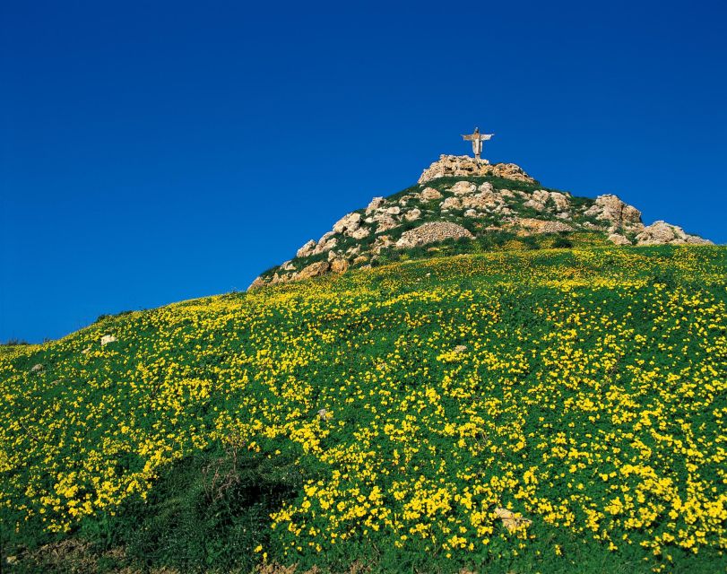 Gozo Day Pass Ferry and Hop-on Hop-off buses with audio Tour - What the $59 pass actually gives you