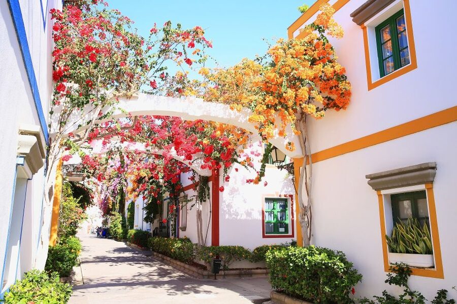 Gran Canaria: Full-Day Island Sightseeing Coach Tour - Gáldar, Guía, Arucas, and banana country