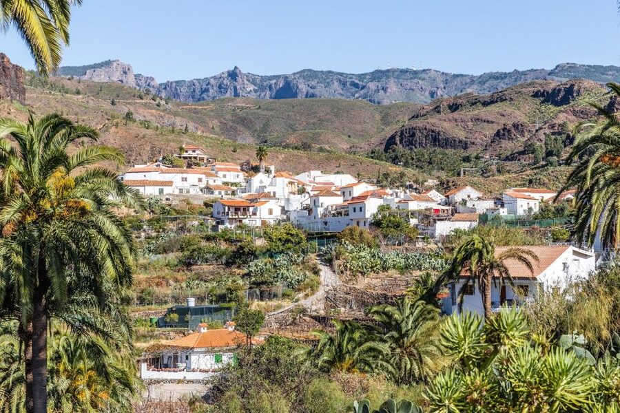 Gran Canaria: Full-Day VIP Tour by Bus - Guide quality and the language question