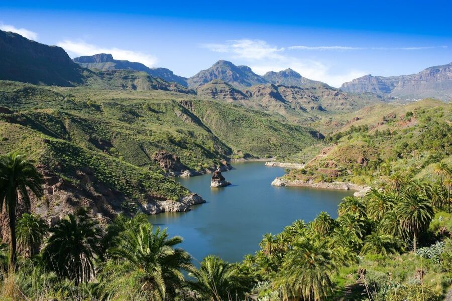 Gran Canaria: Full-Day VIP Tour by Bus - The aloe vera stop: useful, but still a sales-style visit