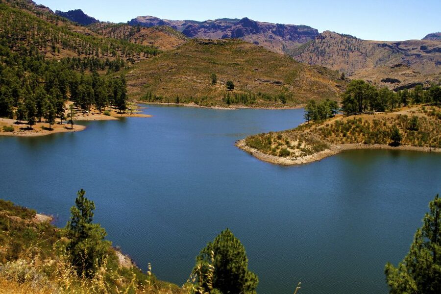 Gran Canaria Highlights Full-Day Tour by Bus - Pickup details that affect your day