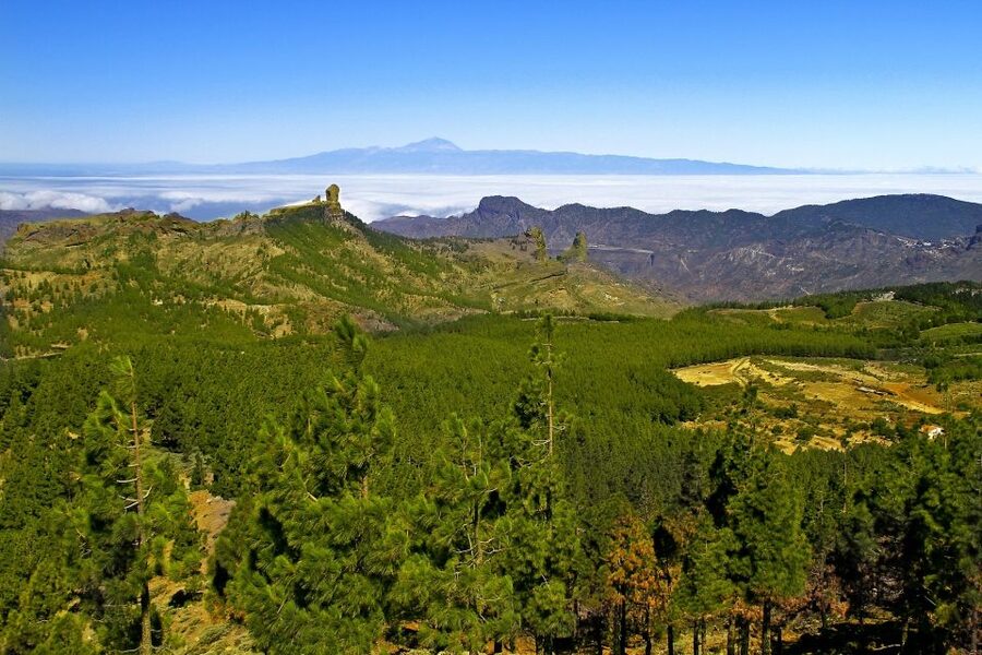 Gran Canaria Highlights Full-Day Tour by Bus - Teror offers a slower village stop