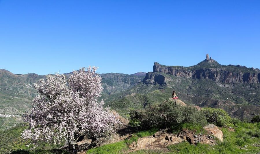 Gran Canaria Highlights Full-Day Tour by Bus - Tejeda and Ayacata deliver the best views
