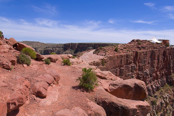 Grand Canyon West Bus Tour with Hoover Dam and Optional Skywalk - Joshua Tree and Mojave Desert scenery