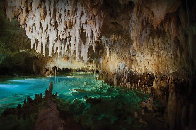 Grand Cayman Private Customized Bus Tour - Devil’s Grotto and the island’s unusual geology