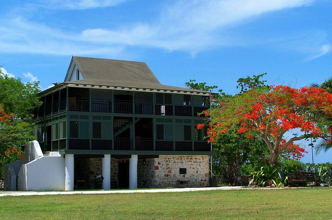 Grand Cayman Private Customized Bus Tour - The Cayman Turtle Farm for families
