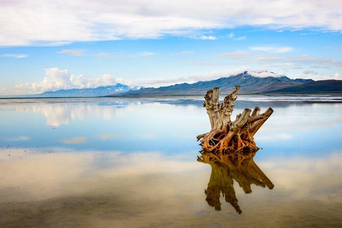Great Salt Lake Guided Bus Tour from Salt Lake City - What to know before you book