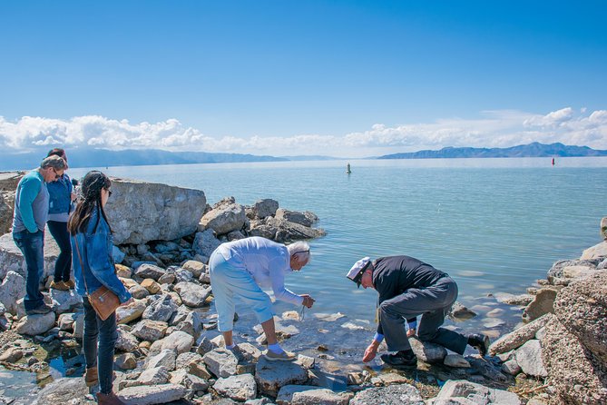 Great Salt Lake Guided Bus Tour from Salt Lake City - Reaching the shore and choosing your pace