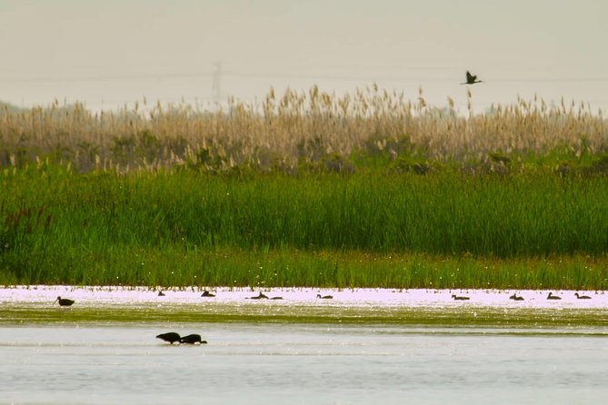 Great Salt Lake Guided Bus Tour from Salt Lake City - Is $69 a fair price?