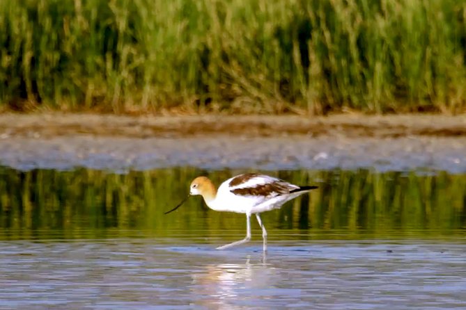 Great Salt Lake Guided Bus Tour from Salt Lake City - Weather, comfort, and cancellation concerns