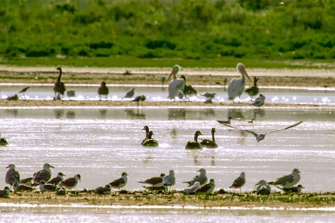 Great Salt Lake Guided Bus Tour from Salt Lake City - The drive out: stories instead of silent highway time