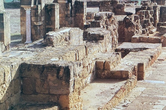 Guided tour of Medina Azahara in Spanish with Bus. Official Guides - Who will get the most from this tour