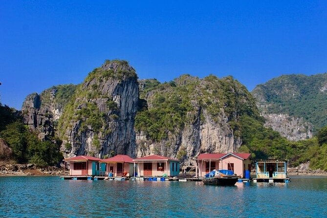 Ha Long Bay Day Cruise, Cave, Kayaking, Swimming, Bus & Lunch - Cruising from Tuan Chau Harbour into Ha Long Bay