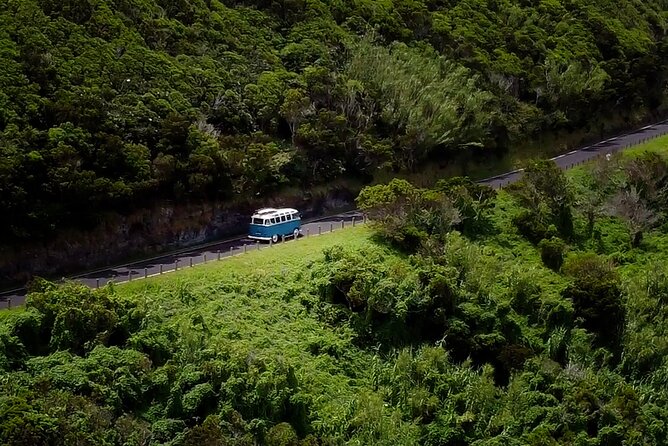 Half-Day VW Samba Private Bus Tour around Faial Island - Why the VW Samba makes Faial more fun