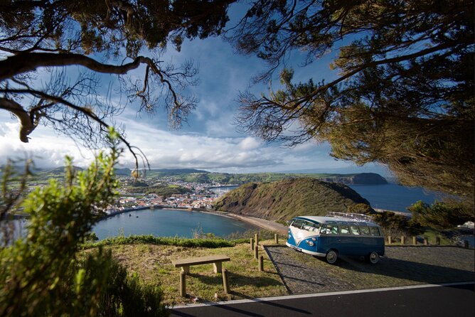 Half-Day VW Samba Private Bus Tour around Faial Island - Who will enjoy this Faial outing most?
