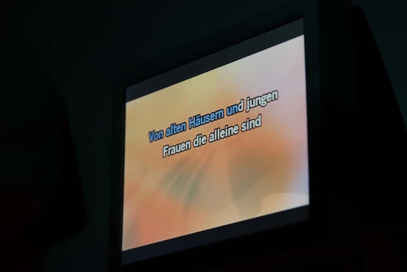 Hamburg: 1.5-Hour International Karaoke Bus Tour - The 90-minute ride through Hamburg