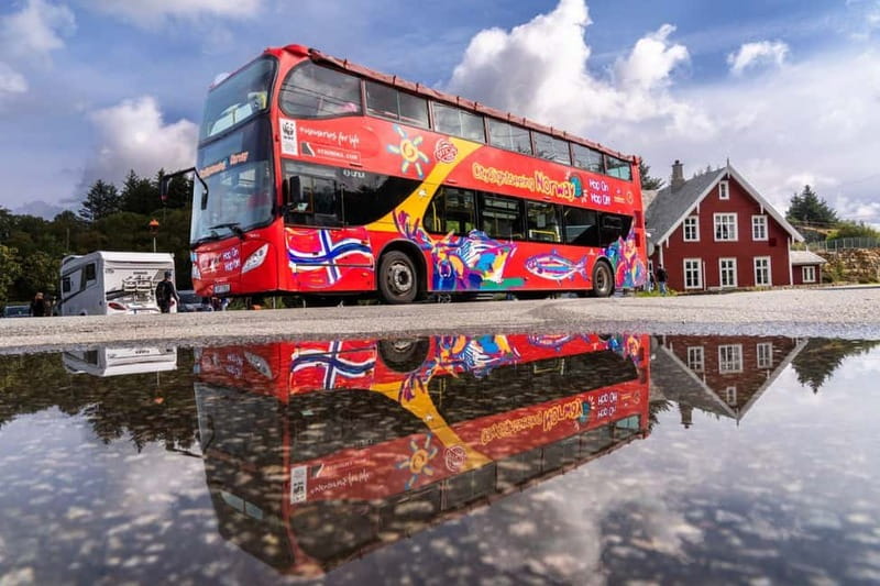 Haugesund: City Sightseeing Hop-On Hop-Off Bus Tour - What the upper deck can and cannot do