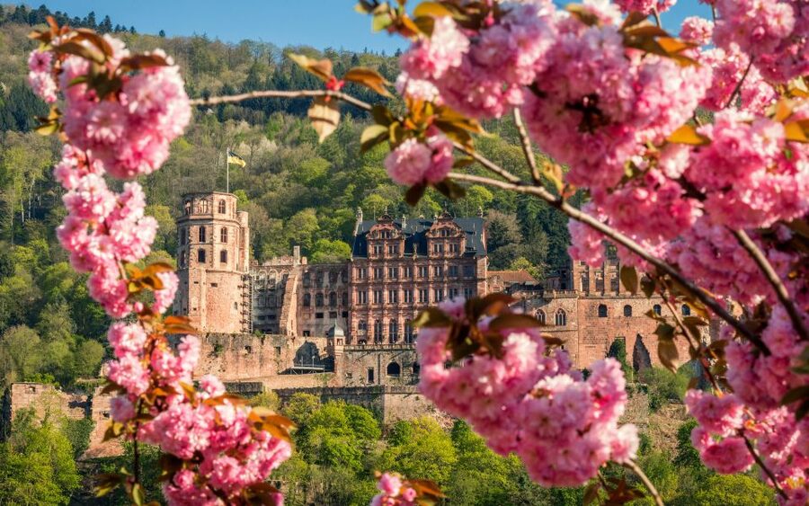 Heidelberg: Sightseeing Bus and Castle Tour - Key points to know before booking
