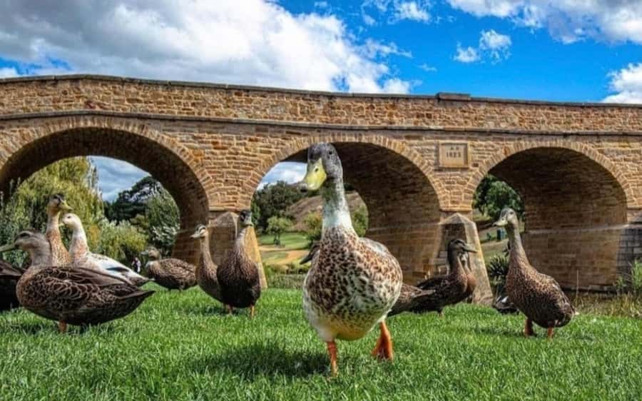 Historic Richmond Village Half-Day Coach Tour - What to do with two hours and 45 minutes