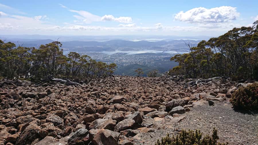 Hobart: kunanyi/Mt Wellington Explorer Bus Pass - Who will enjoy this most