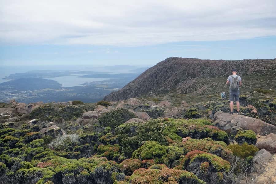 Hobart: kunanyi/Mt Wellington Explorer Bus Pass - From Brooke Street Pier to the mountain road