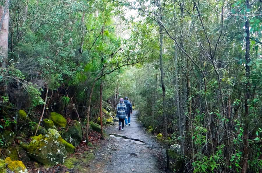 Hobart: kunanyi/Mt Wellington Explorer Bus Pass - The Chalet and Big Bend