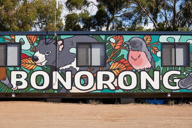 Hobart Shore Excursion: Bonorong Bus - A Simple Wildlife Escape From Hobart