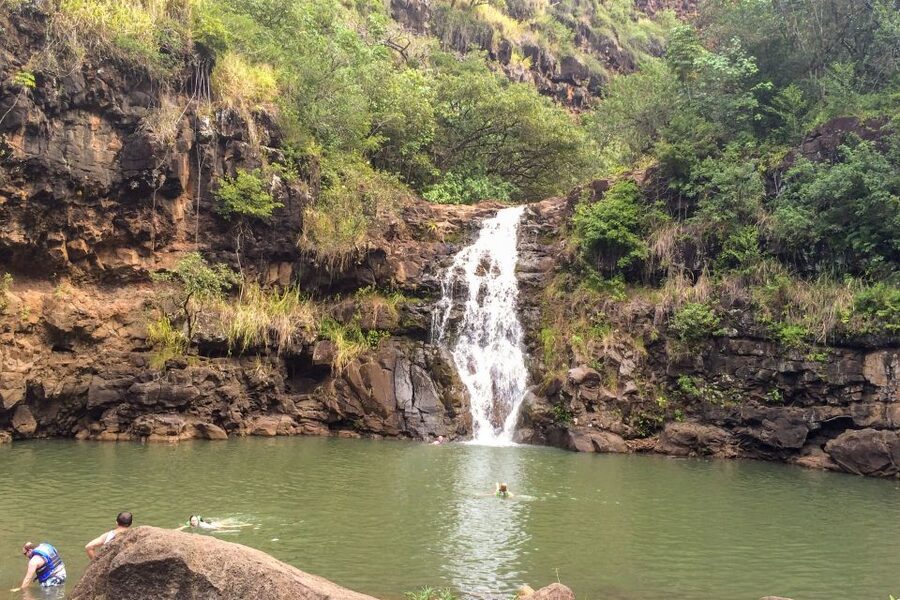 Honolulu: Oahu Island Full-Day Guided Tour by Bus with Lunch - The North Shore and its famous surf beaches
