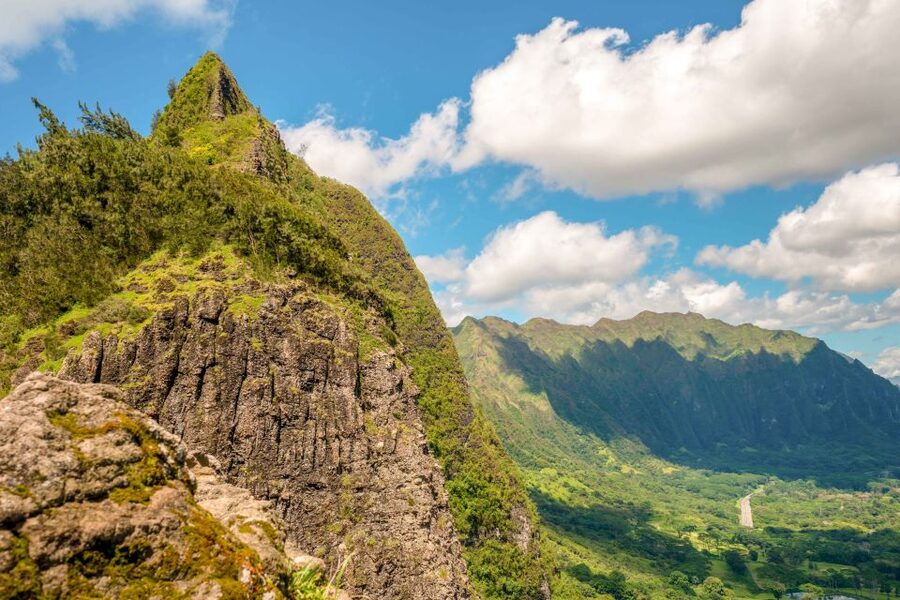 Honolulu: Oahu Island Full-Day Guided Tour by Bus with Lunch - Lunch, local flavor, and the value of the package