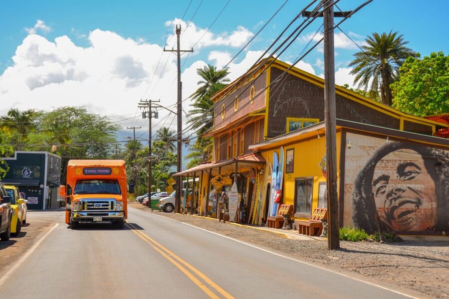 Honolulu: Oahu Island Full-Day Guided Tour by Bus with Lunch - Dole Plantation and the commercial side of Oahu