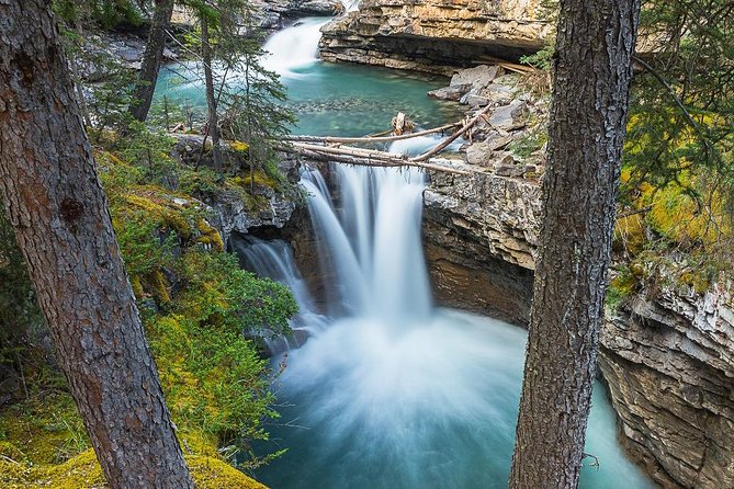 Hop-On and Hop-Off Banff Bus - Lake Louise: time for the famous view