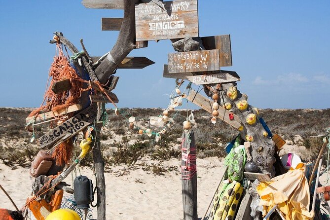 Hop On Hop Off 3 Islands: Deserta, Farol and Culatra - Key points to know before booking