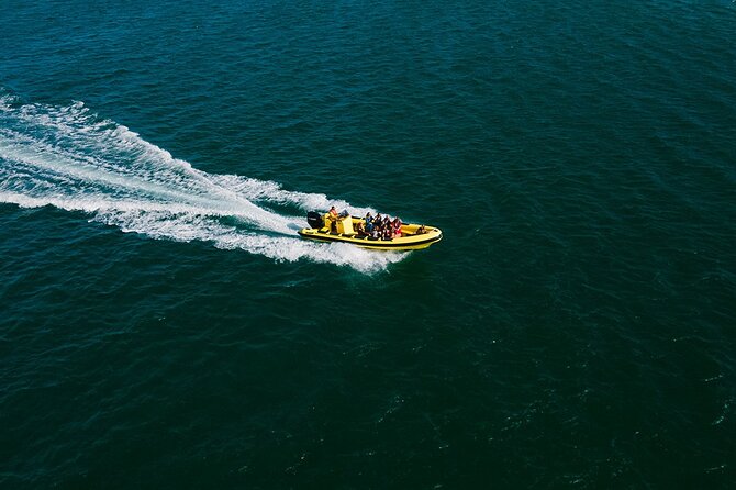 Hop On Hop Off 3 Islands: Deserta, Farol and Culatra - How the Faro island service works