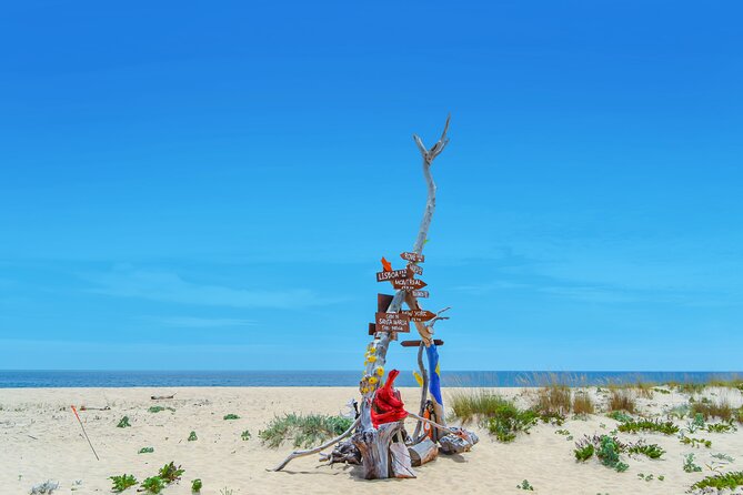 Hop On Hop Off 3 Islands: Deserta, Farol and Culatra - Farol and the Santa Maria lighthouse