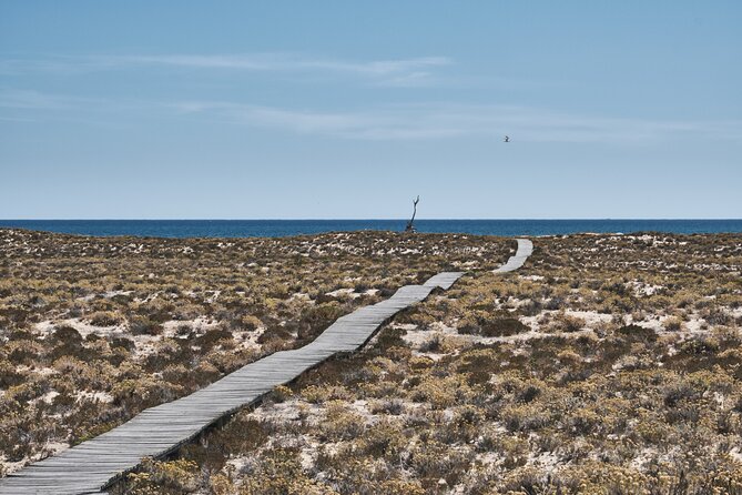 Hop On Hop Off 3 Islands: Deserta, Farol and Culatra - Comparing the three islands
